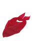 SO01198 - SOL'S BANDANA Kép 1.